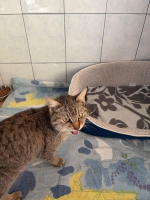 thumb_WhatsApp Image 2026-04-22 at 18.32.09